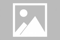 穿越扭蛋机消息最新爆料